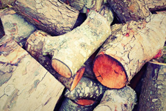 Nextend wood burning boiler costs